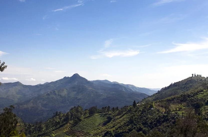 Coorg photo 4