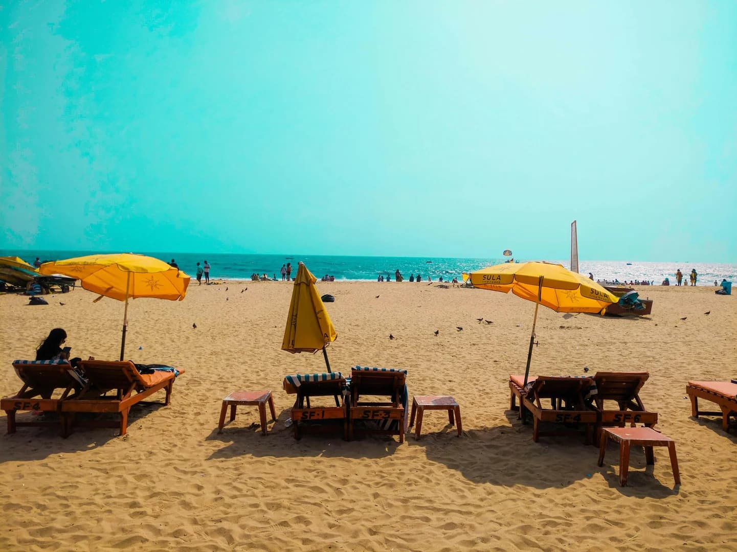 Goa photo 3